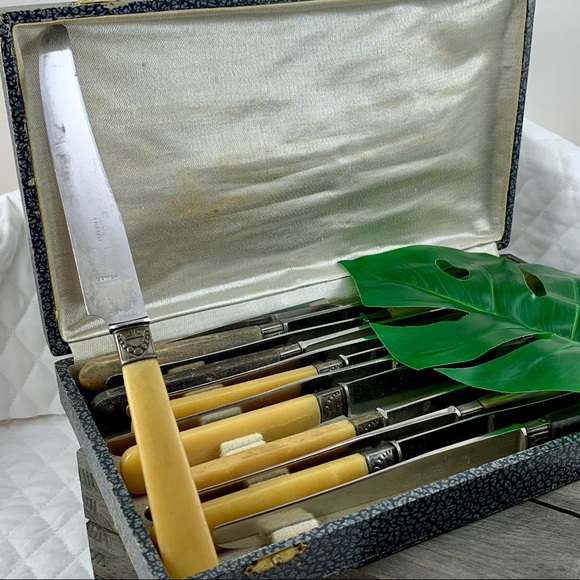 VINTAGE BUTTERKNIFE SET W/CASE BONE LIKE HANDLES - Picture 11 of 11